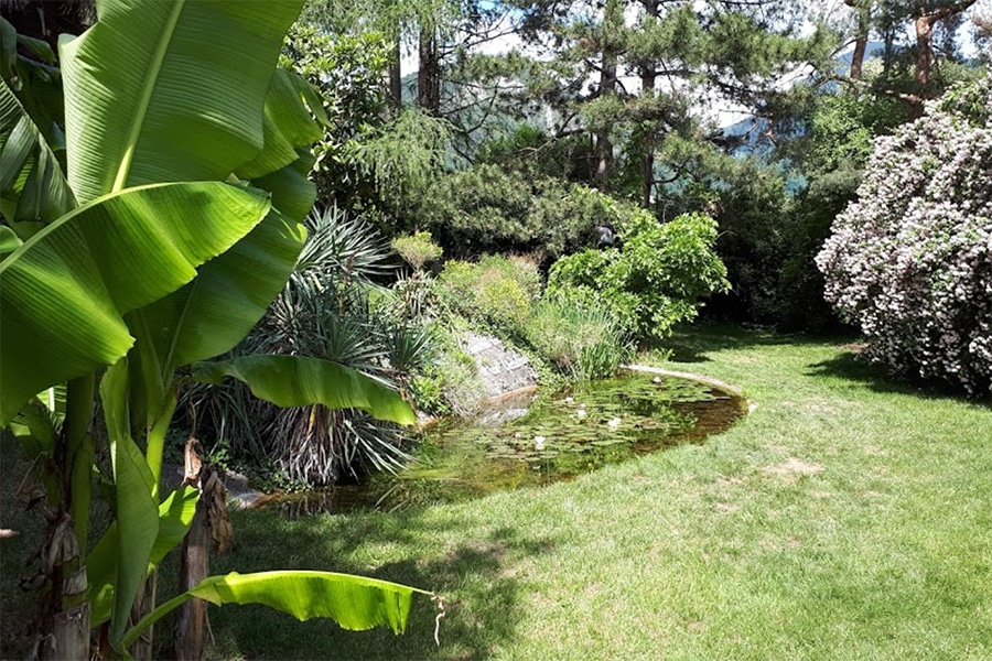 Jardin botanique de St-Triphon