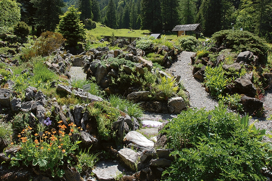 Jardin botanique de Pont-de-Nant